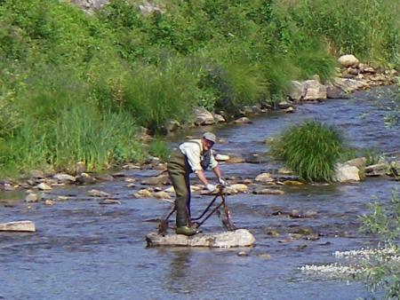 Re: ¡¡Toca limpiar!!